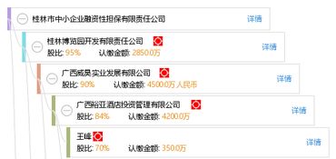 桂林市中小企業(yè)融資性擔(dān)保有限責(zé)任公司