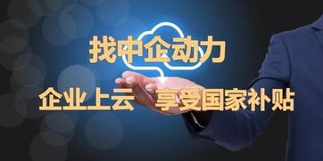 完善中小企業融資政策，中企動力推進發展